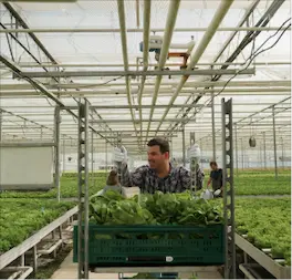 Credible Net-Zero Transition Strategy