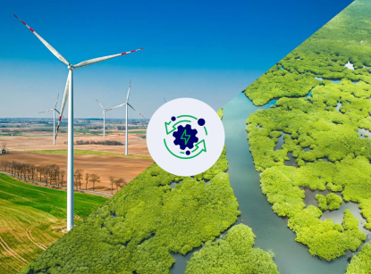 Value Chain Decarbonisation – Uncovering the Complementary Role of Carbon Offsets